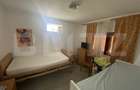 Cladire S+P+M 379 mp, teren 374 mp, afacere azil, zona Parc Romanescu - 13