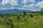 Teren de vânzare în Calea Cisnădiei, Sibiu – 550 mp, PUZ aprobat, vedere superbă - 4