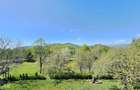 Pensiune in jud. Buzau, loc Ivanetu| Constructie lemn|Pozitionare impresionanta - 35