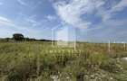 Teren 1000 mp | Zona Balta Blonda