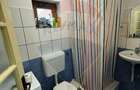 Casă / Vilă nouă cu 5 camere + casă bătranească renovată - 20