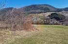 Teren intravilan de 4.000 mp în Bistrița – Alexandru cel Bun - 14