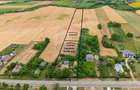 Casă gospodareasca cu teren generos 1,1 Ha in Silistea, Com. Todiresti - 1