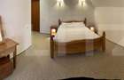 Cabana cu 5 dormitoare, 250 mpu, 700 teren la Ranca - 4