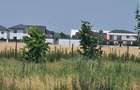 Vand teren Buftea 3.190 mp, toate utilitatile - 3