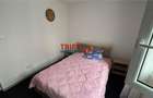 Apartament de inchiriat zona cetate - 5