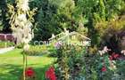 VILA D+P+E+M, 12 camere, piscina , padure, IANCU NICOLAE - 8