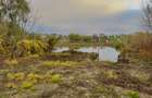 Teren Intravilan | Deschidere Lac Snagov | Ponton | Curatat | Toate utilitatile - 3