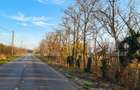 Teren intravilan de vanzare, 2.500 mp, Str Gorunului, zona Aqua Star - 3