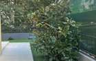 Inchiriere 3 camere Herastrau/Lux/Parcare /Boxa/Gradina Proprie - 13