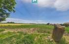 Teren extravilan 5000 mp, Arad - 5