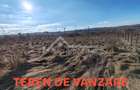 Teren extravilan de vânzare – Fânațe, Cluj – 1000 mp - 1