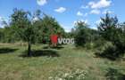 Teren intravilan | 2.810 mp|18ml|Zona Fratelia| - 4