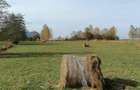 Teren in Sohodol-Bran - 2