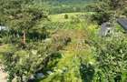Cabane A frame + Teren 6000 mp |  Proprietate deosebita, NOU - 42