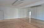 Vila Individuala cu 9 Camere de Inchiriat *Dorobanti* - 9