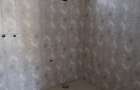 Casa cu 4 camere,  310 mp, 400 mp teren, Holboca - 13