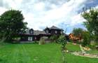 Raritate| Proprietate de vis pe 6 ha intravilan  de vanzare in Pestera Brasov - 21