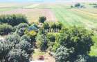 CASĂ cu teren 5803 mp GIROV, judetul Neamț - 13