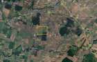Afumati - Tarla 9, teren agricol in suprafata de 9.200 mp. - 9
