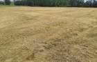 Teren intra si extravilan in Vad, Copalnic-Mănăștur, Maramures - 4
