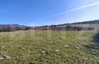 Teren intravilan – Cusma | 50 ari | Zona linistita - 1
