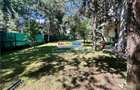Vanzare vila S+P+1E+M, 7 camere, Ploiesti, zona Albert