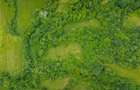 Teren ideal recreere/conectare cu natura/zona Fagaras/achitare in rate - 14