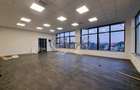 Spatiu comercial pentru diverse activitati sau investitie - 2