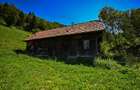 FILM! Proprietate autentica, Bran-Simon, 4.300 mp teren, casa traditionala + ane - 43