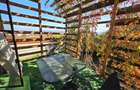 Vila cu 5 camere si 2 bai de vanzare in Horpaz - 5