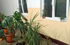 Apartament spatios cu 4 camere, 2 balcoane – Marghita, zona Penny - 14