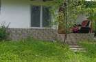 Proprietate de vanzare in Golești - 10800 mp teren și două case - 1