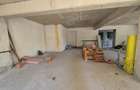 SPATIU COMERCIAL DE INCHIRIAT IANCU NICOLAE - 4