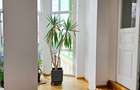 Proprietate de exceptie Ultracentral- str.Stefan cel mare - 3