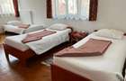 Casă spațioasă cu potențial de pensiune sau clinica, zona Zorilor - 5