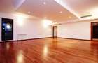 Apartament nemobilat Herastrau - 10