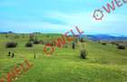De vânzare teren extravilan în Sărămaș! - 7