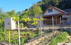 Vanzare casa cu 19.549 mp teren in Vintu de Jos - 1
