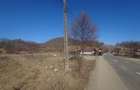 Teren intravilan in Brad - 4