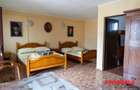Pensiune + 4,7 Ha teren E85 Roman - Neamț - Afacere la cheie - 7