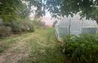 Casa de inchiriat Gulia - 5 camere - 15