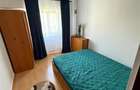 Apartament 3 camere D mobilat Zona Alpha Bank Păcurari - 6