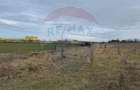 Teren intravilan 13800 mp - Centura de Nord Arad - 1
