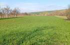 Vanzare teren intravilan parcelabil, in localitatea Rascruci - 2