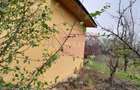 De vanzare casa +teren 16k mp in BARCANESTI / IL - 20