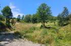 Teren Intravilan in zona Trei Ape, 6889 Mp., 14,5 Euro Mp., Brebu Nou - 4