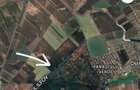 Teren investiție la limita Ilfov, lângă Corbeanca și Paradisul Verde, cu deschid - 2