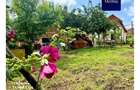 Casă pe un singur nivel, de vânzare in Mediaș, cartierul Mosnei - 16