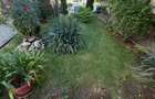 Apartament de vanzare 3 camere zona Lidl Strada Eroilor! - 7